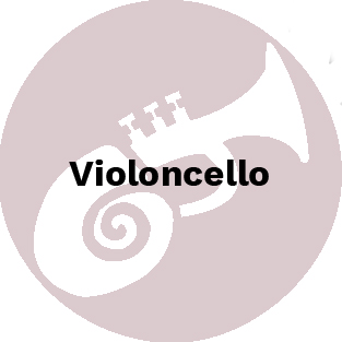 violoncello